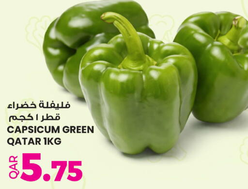 Capsicum from Qatar available at أنصار جاليري in قطر - أم صلال