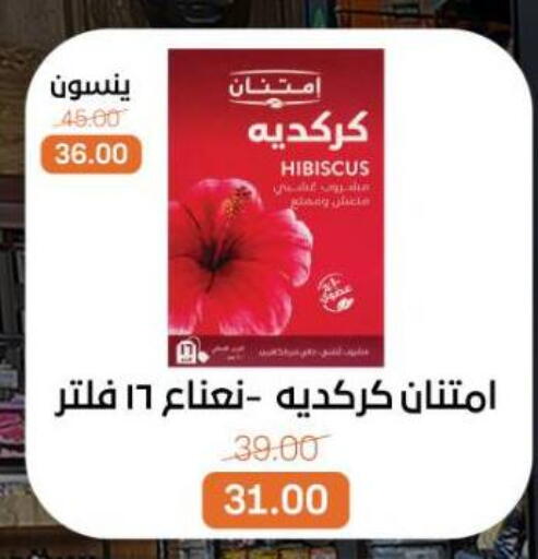 available at بيت الجملة in Egypt - القاهرة
