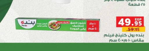 available at بنده in Egypt - القاهرة