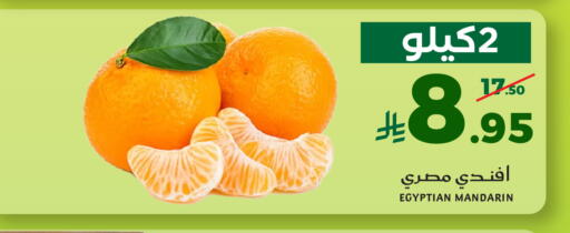 Mandarin from Egypt available at Mira Mart Mall in KSA, Saudi Arabia, Saudi - Jeddah