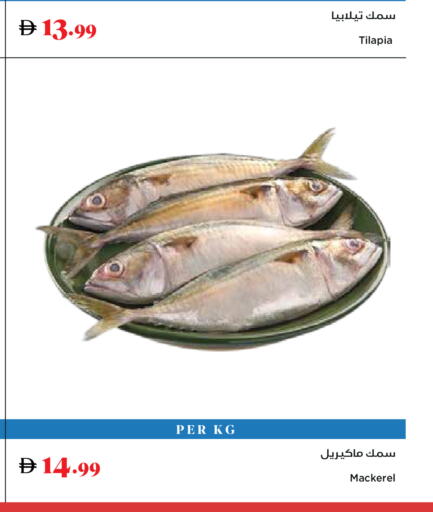 available at Trolleys Supermarket in UAE - Dubai