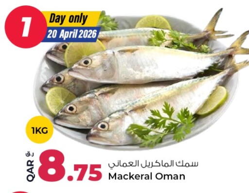 available at روابي هايبرماركت in قطر - الشحانية