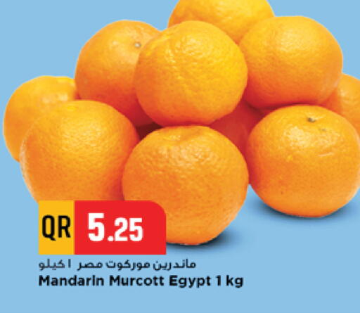 Mandarin from Egypt available at مرزا هايبرماركت in قطر - الشمال