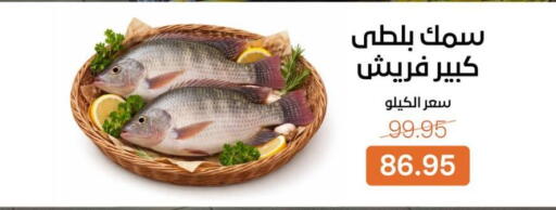available at بيت الجملة in Egypt - القاهرة