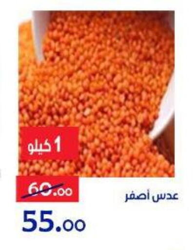 available at الدنيا بخير in Egypt - القاهرة