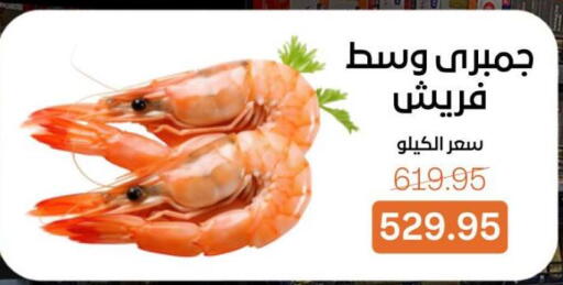 available at بيت الجملة in Egypt - القاهرة