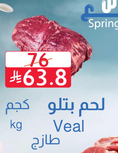 available at متاجر أبياتي in مملكة العربية السعودية, السعودية, سعودية - المدينة المنورة