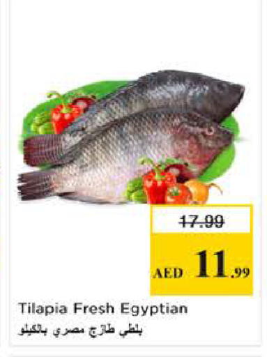 available at Nesto Hypermarket in UAE - Dubai