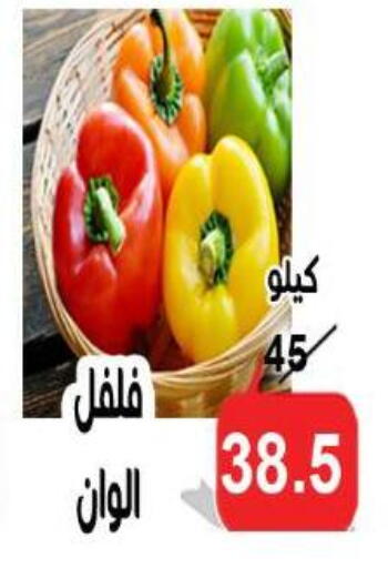 available at الدنيا بخير in Egypt - القاهرة