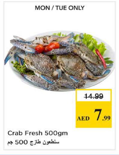 available at نستو هايبرماركت in الإمارات العربية المتحدة , الامارات - الشارقة / عجمان