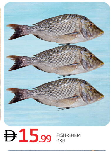 available at TALAL MARKET in UAE - Abu Dhabi