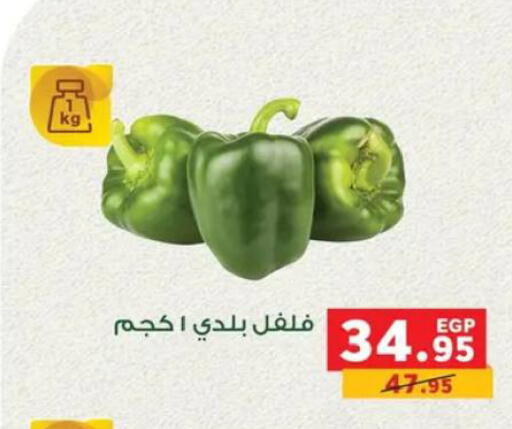 available at بنده in Egypt - القاهرة