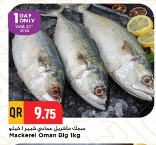 available at Marza Hypermarket in Qatar - Al Daayen