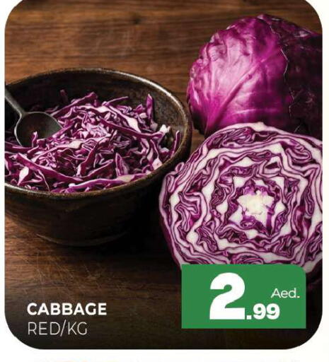Cabbage available at Al Madina  in UAE - Sharjah / Ajman