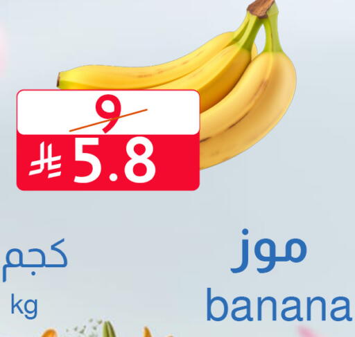 available at متاجر أبياتي in مملكة العربية السعودية, السعودية, سعودية - المدينة المنورة