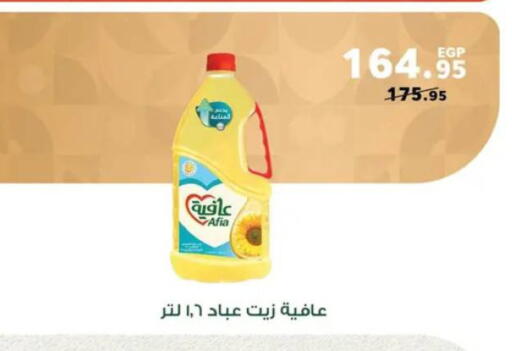 available at بنده in Egypt - القاهرة