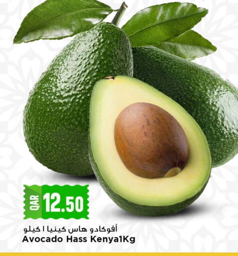 Avocado available at مرزا هايبرماركت in قطر - الشحانية