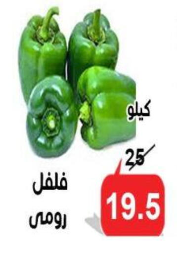 available at الدنيا بخير in Egypt - القاهرة