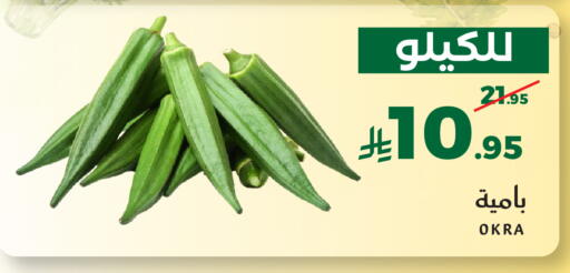 Okra available at ميرا مارت مول in مملكة العربية السعودية, السعودية, سعودية - جدة