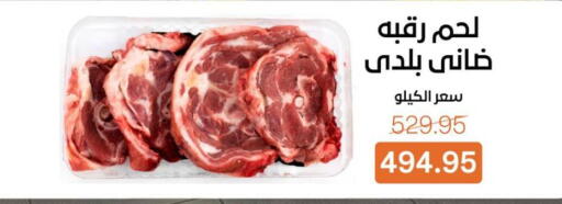 available at بيت الجملة in Egypt - القاهرة