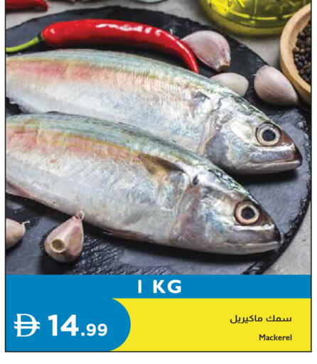 available at Istanbul Supermarket in UAE - Dubai