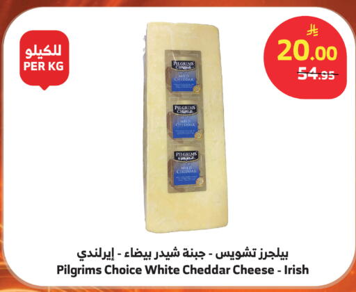 available at الراية in مملكة العربية السعودية, السعودية, سعودية - أبها