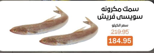 available at بيت الجملة in Egypt - القاهرة