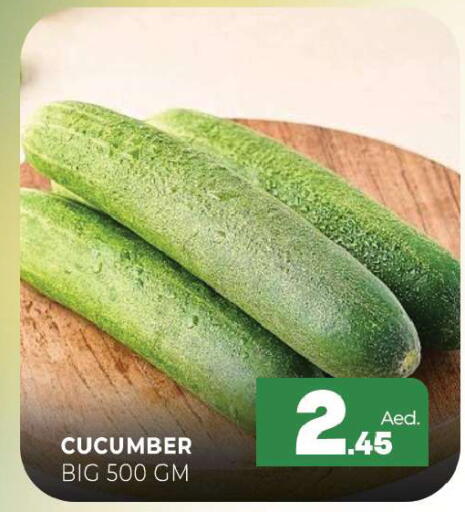 Cucumber available at Al Madina  in UAE - Sharjah / Ajman