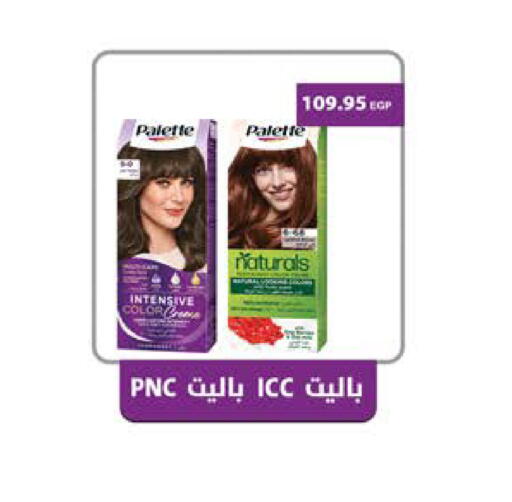 available at Seoudi Supermarket in Egypt - Cairo