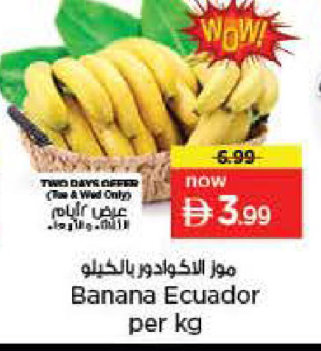 Banana from Ecuador available at نستو هايبرماركت in الإمارات العربية المتحدة , الامارات - دبي