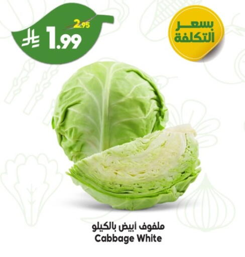 Cabbage available at Dukan in KSA, Saudi Arabia, Saudi - Medina
