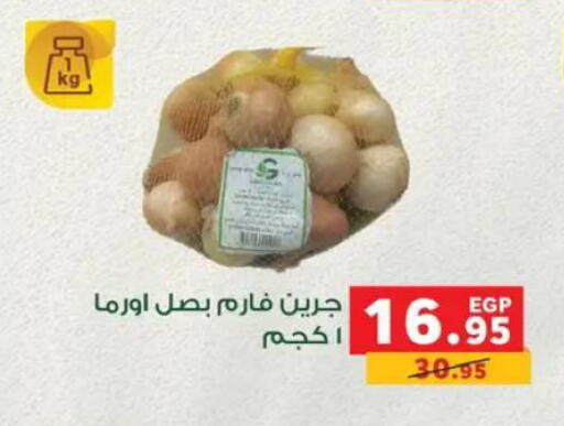 available at بنده in Egypt - القاهرة