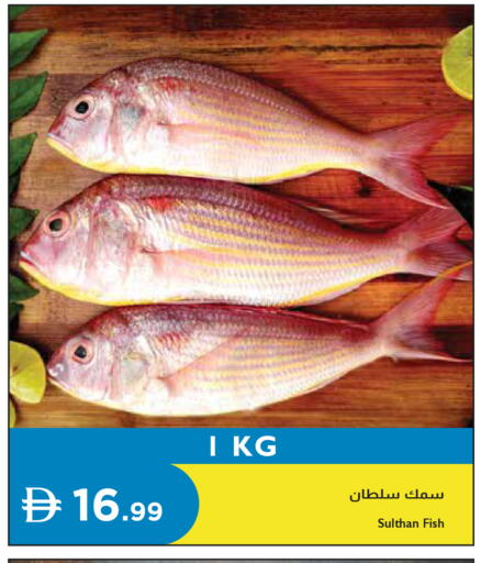 available at Istanbul Supermarket in UAE - Dubai