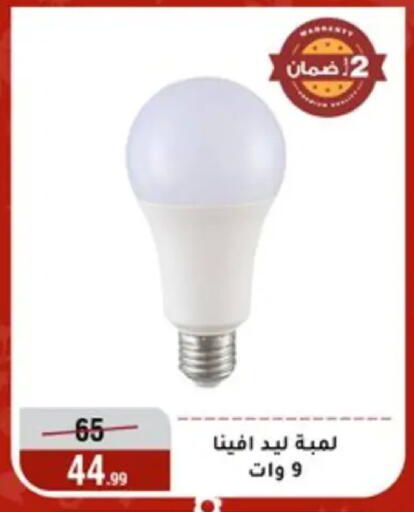 available at Al Morshedy  in Egypt - Cairo