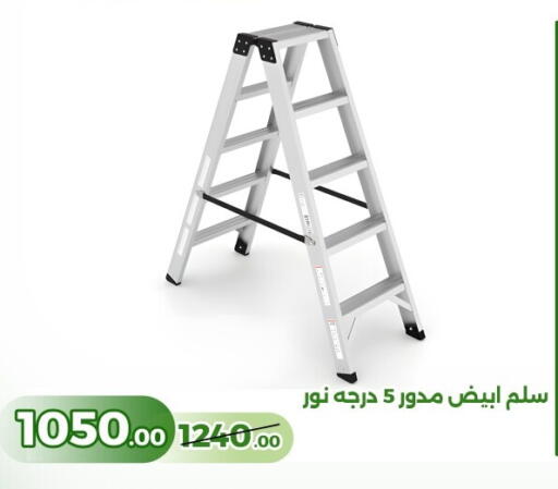 available at Green Tree Hypermarket - Sohag in Egypt - Cairo