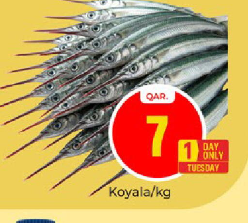 available at باريس هايبرماركت in قطر - الوكرة