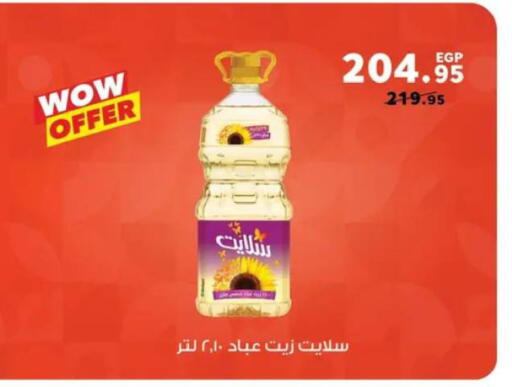 available at بنده in Egypt - القاهرة