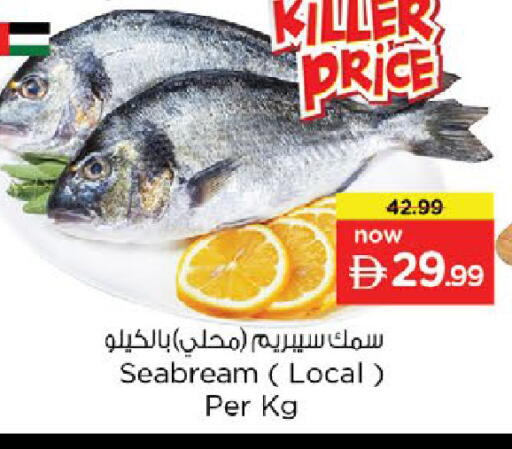 available at نستو هايبرماركت in الإمارات العربية المتحدة , الامارات - رَأْس ٱلْخَيْمَة