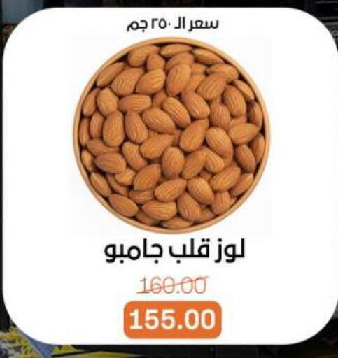 available at بيت الجملة in Egypt - القاهرة