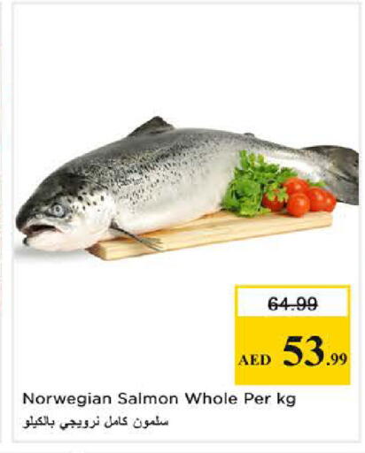 available at نستو هايبرماركت in الإمارات العربية المتحدة , الامارات - الشارقة / عجمان