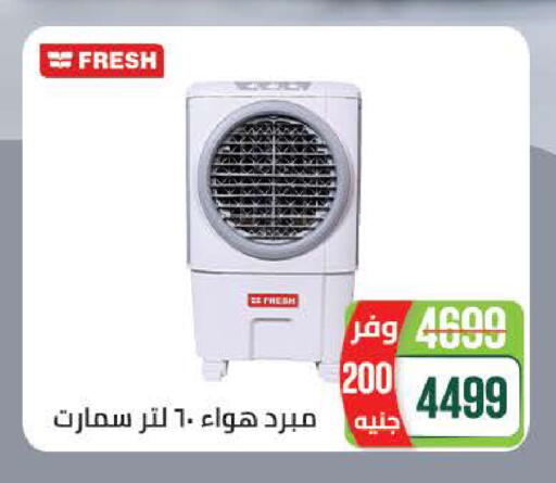 available at سعودي سوبرماركت in Egypt - القاهرة