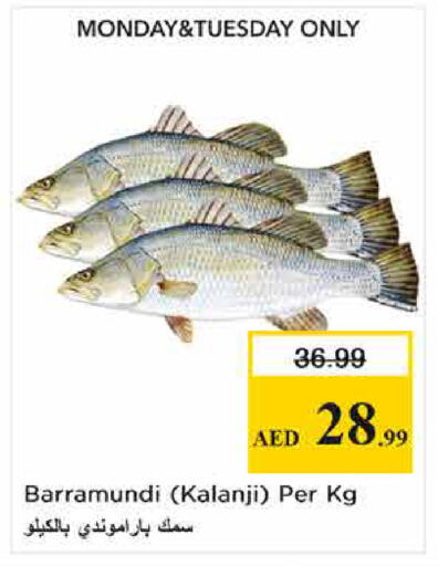 available at نستو هايبرماركت in الإمارات العربية المتحدة , الامارات - الشارقة / عجمان