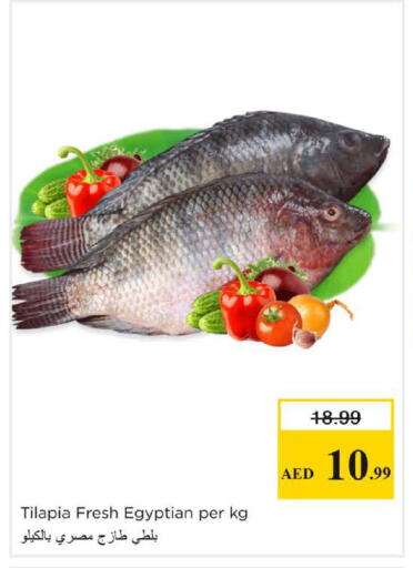 available at Nesto Hypermarket in UAE - Dubai