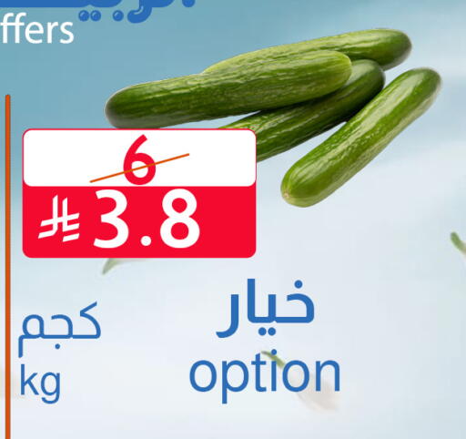available at متاجر أبياتي in مملكة العربية السعودية, السعودية, سعودية - المدينة المنورة