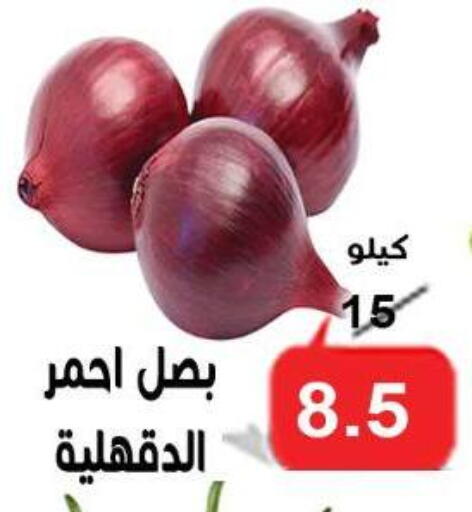 available at الدنيا بخير in Egypt - القاهرة