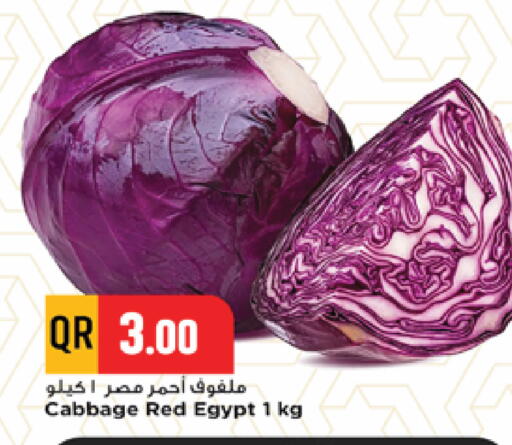 Cabbage from Egypt available at مرزا هايبرماركت in قطر - الوكرة