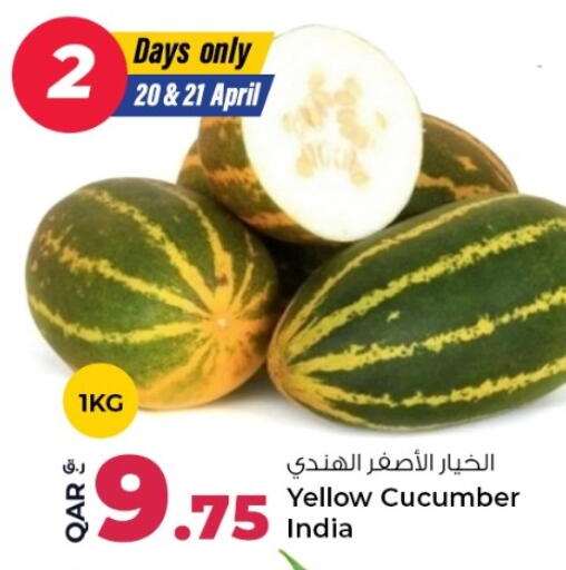 Cucumber from India available at روابي هايبرماركت in قطر - الشحانية