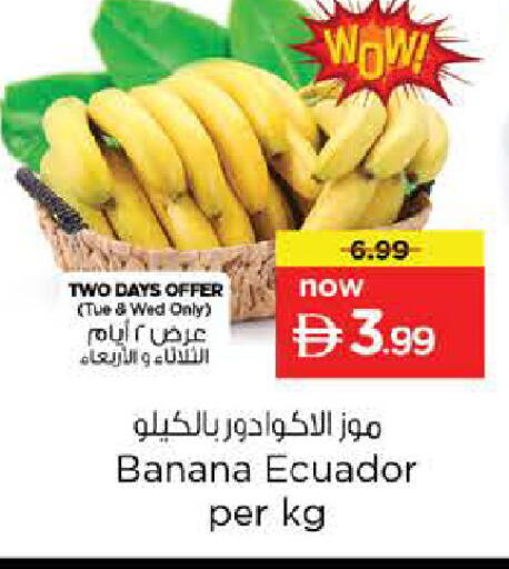 Banana from Ecuador available at نستو هايبرماركت in الإمارات العربية المتحدة , الامارات - الشارقة / عجمان