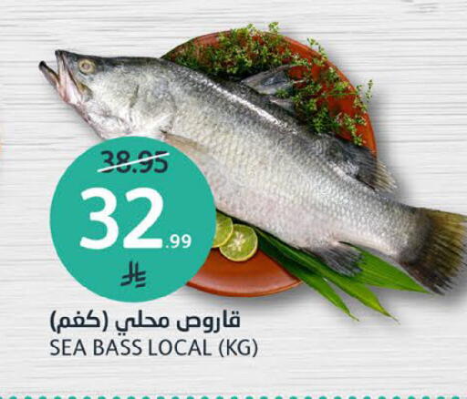 available at مركز الجزيرة للتسوق in مملكة العربية السعودية, السعودية, سعودية - الرياض