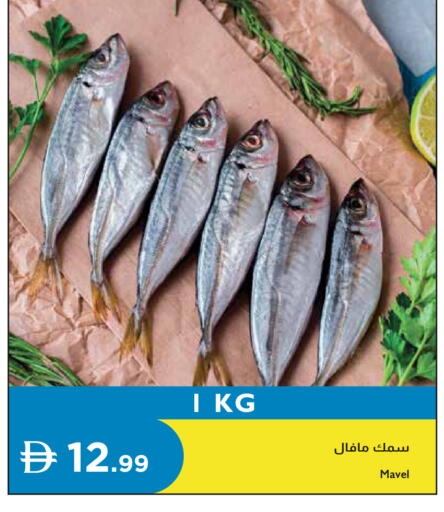 available at Istanbul Supermarket in UAE - Dubai